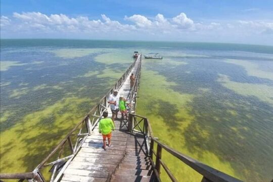 Holbox - Islas Pájaros, Yalahau and Isla de la Pasión