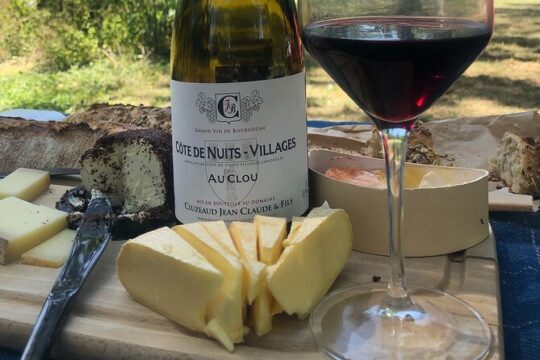 Cheese and Wine Pairing 1-Hour Session in Dijon