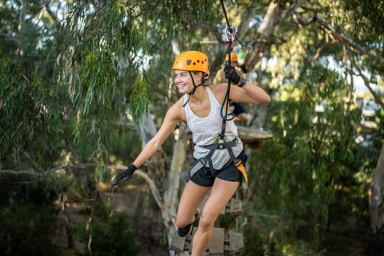 Tree Top Activity for Thrill Seekers and Adventurers in Adelaide