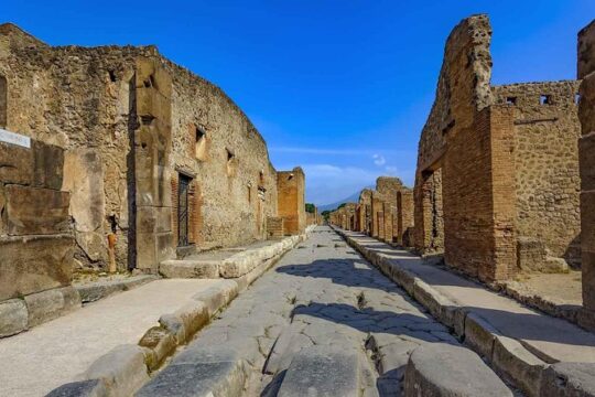 Private Pompeii Day Trip From Rome by Fast Train to Naples and Car Service
