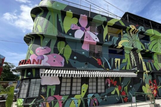 Half-Day Tour: Old San Juan, Art District, La Placita and Loíza