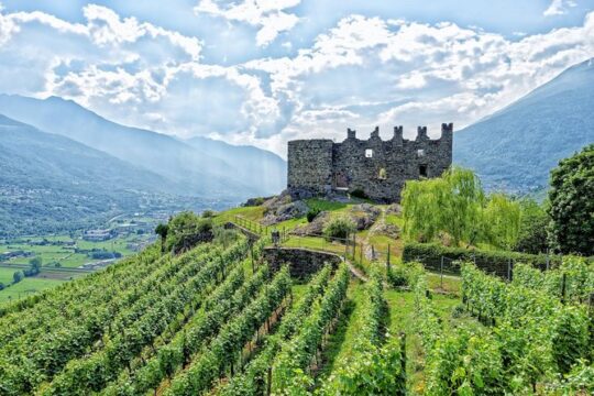 Lake Como & Wine Tour in Valtellina Valley - Full day
