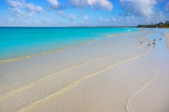 Holbox Tour with Ferry transportation and lunch included
