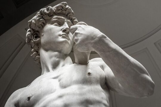 Accademia Gallery Guided Tour with Wine Tasting in Florence