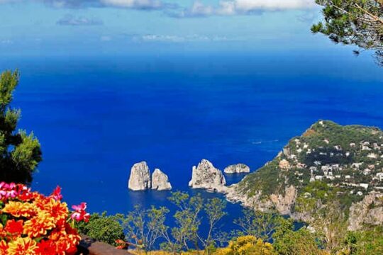 Capri Island and Blue Grotto from Sorrento or Positano or Amalfi or Salerno