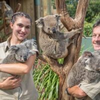 Day Trips & Excursions