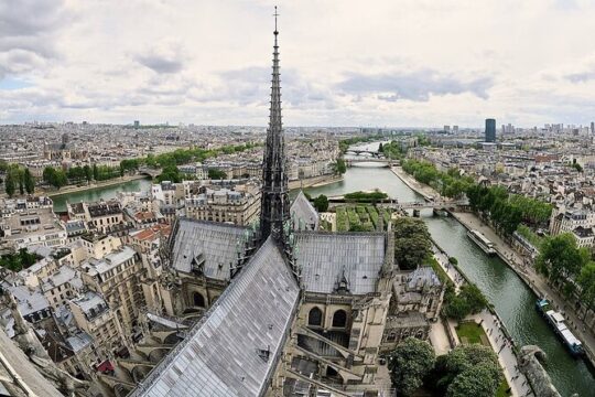 Private one way transfer from Paris city to Disneyland Paris