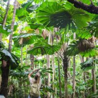 Day Trips & Excursions
