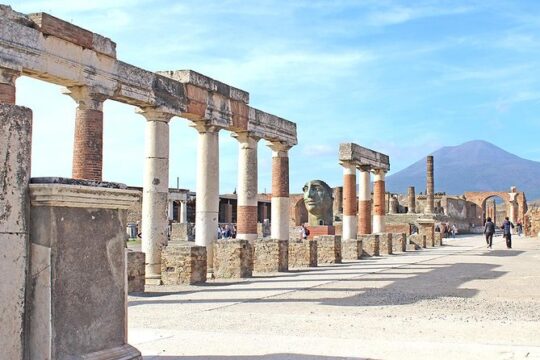 Fast Access Exclusive Private Ancient Pompeii Half Day Tour with Local Guide