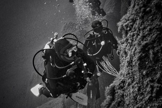 package of 2 single dives in the Capo Carbonara Marine Protected Area