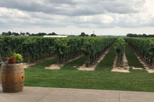 Afternoon Wine, Beer & Charcuterie Tour
