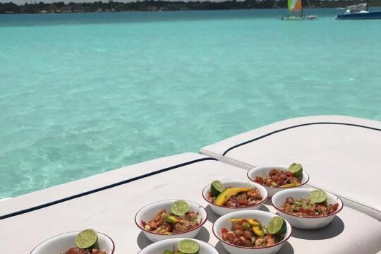 Bacalar Seven Color Lagoon Boat Adventure with Grill Option