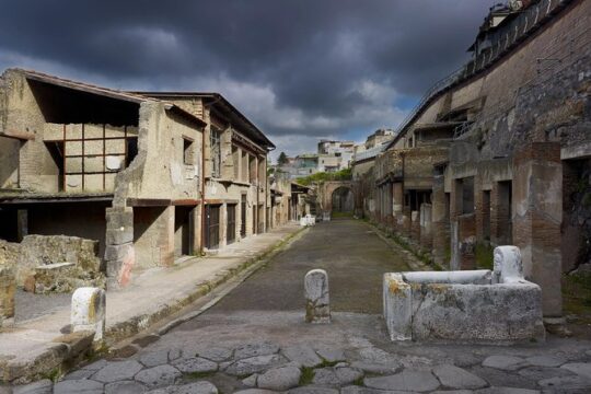 Herculaneum Ancient City (Tour + Transfer)