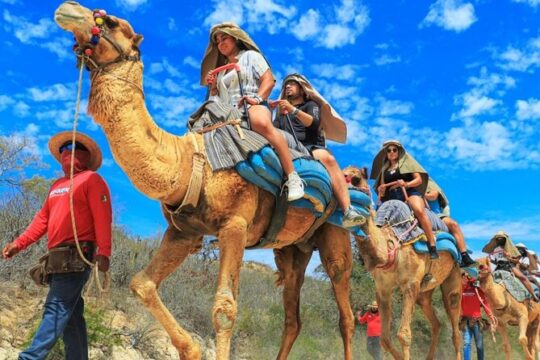 Guided Canyon Camel Ride in Wild Canyon Adventure Park