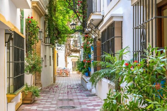 Private Custom Tour With a Local Guide Marbella