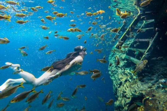 Magical Cenotes Tour to the 3 Cenotes of the Riviera Maya