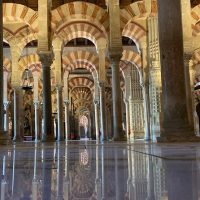Private Sightseeing Tours