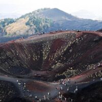 Private Sightseeing Tours