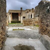 Shore Excursions