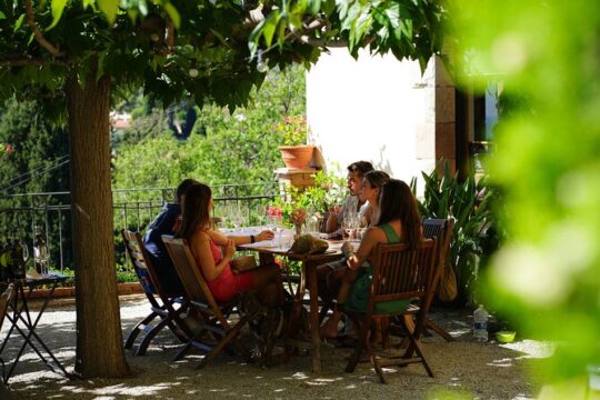 Sailing and Wine Tasting Experience Small Group in Barcelona