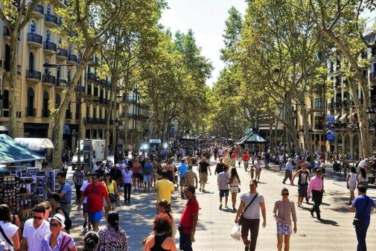 Barcelona Historic Guided Tour
