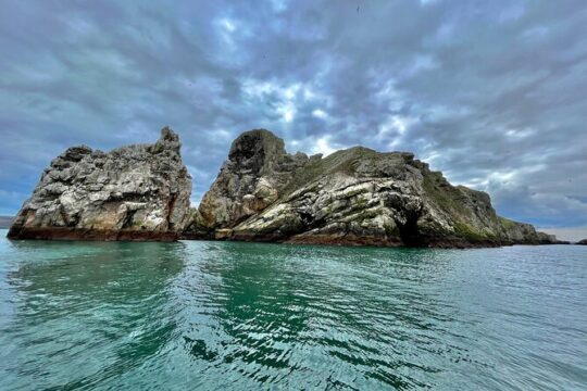 Howth Coastal 1 Hour Boat Tour (Ireland's Eye Ferries)