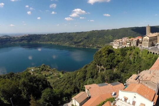 From Rome: Wine tasting and Nemi - Private transportation