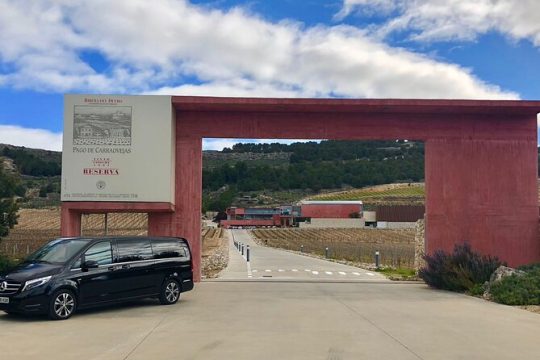 Private transportation to wineries from Madrid with hotel pickup