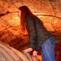 Private & Custom Tours