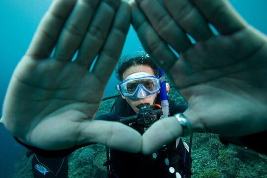 Diving day trip on the Costa Brava