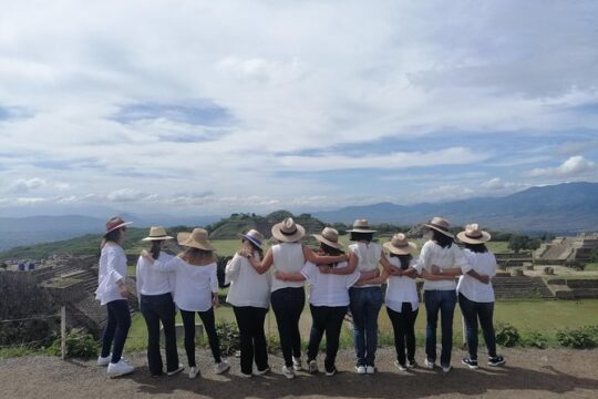 Monte Alban Guided Half Day Tour