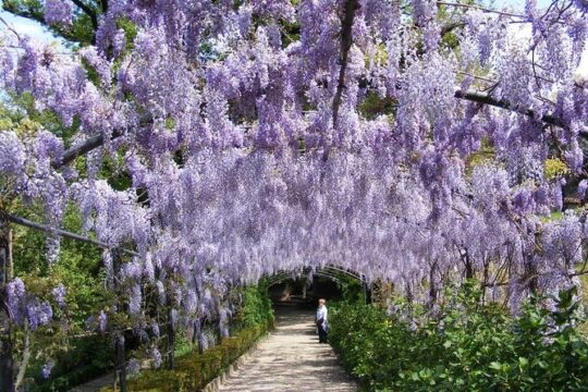 Boboli Garden Tour in Florence
