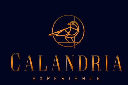 Private and custom group Wine tour Valle de Guadalupe