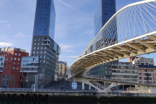 Discover Bilbao's Hidden Charms and the Guggenheim (private tour)