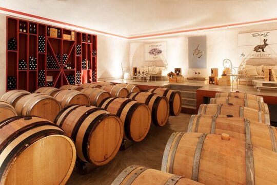 From Civitavecchia: Tuscany-Latium Wine Tour with Tastings