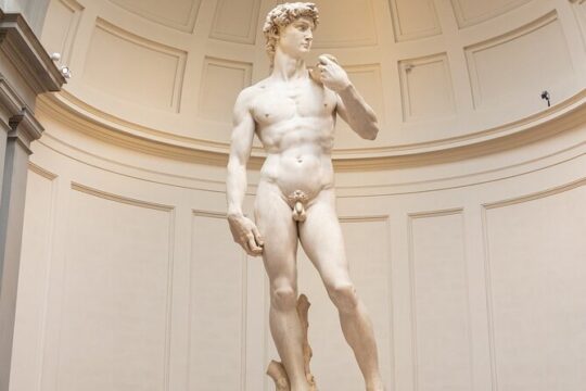 David Tour At Accademia Gallery with 5 Star Guide + Tickets