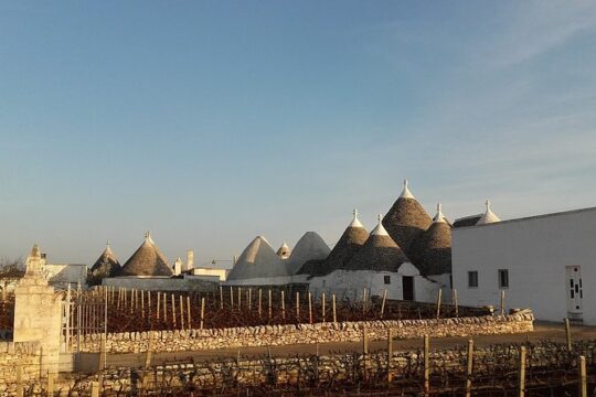from BARI or OSTUNI to central Puglia wonders tour !