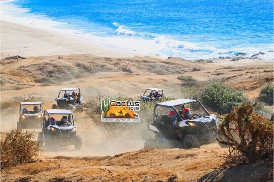 Beach UTV & Camel Ride COMBO in Cabo by Cactus Tours Park