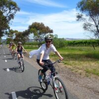 Walking & Biking Tours