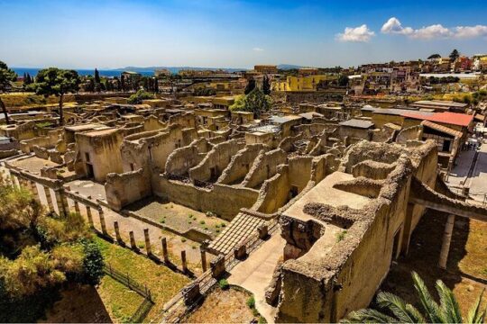 Pompeii and Herculaneum Skip the line - from Amalfi and Positano