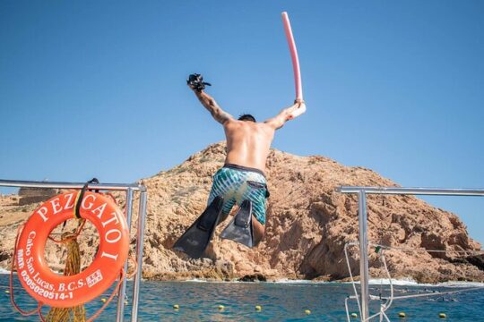 Snorkeling Tour in Los Cabos