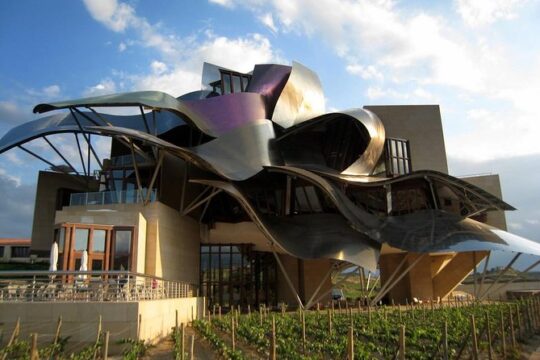 Private Rioja wine tasting tour with local lunch