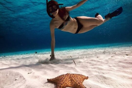 Amazing Snorkel at Cozumel Gorgeous Reef! Round Transportation from Tulum City