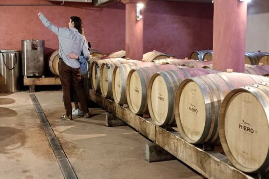 Guided Day Tour and Wine Tasting Northern Rhône Valley