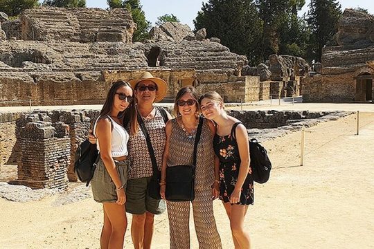 Private hald day tour to the historic roman city of Italica