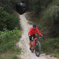 Private & Custom Tours