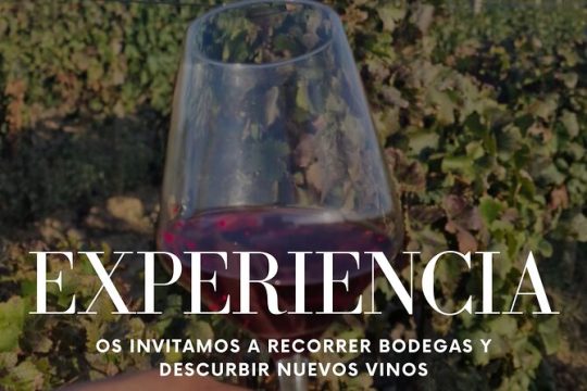 Private Full Day Tour in Alt Empordà with Wine Tasting