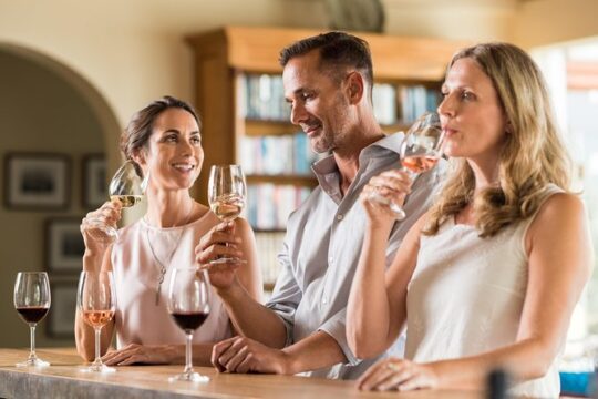 Professional 6 Wines Tasting with Regional Appetizers in a Local’s home - Venice