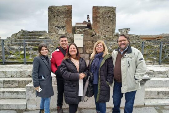 Visit Pompeii with an expert professional guide (2/3 hours)