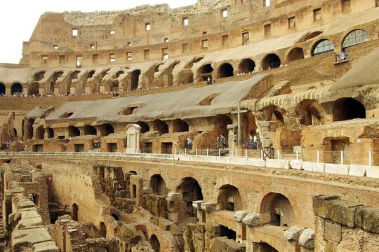 Colosseum with professional guide